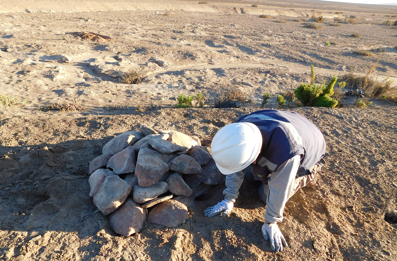 refugio-reptiles-1